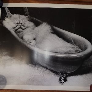 Cat Lover Art
